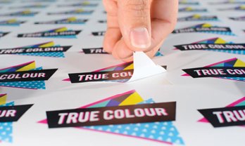 All types of ID Cards Printing